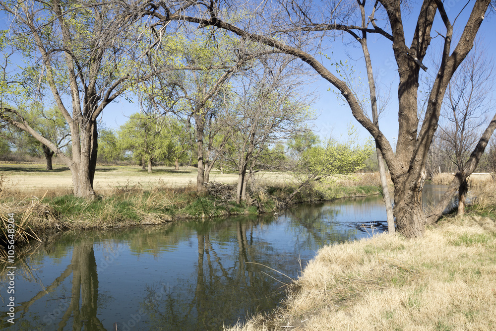 River and trees in Mackenzie Park, Lubbock, TX, US