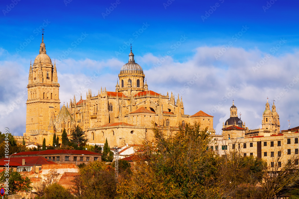  Cathedral of Salamanca in  autumn day
