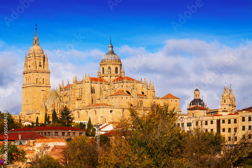  Cathedral of Salamanca in autumn day