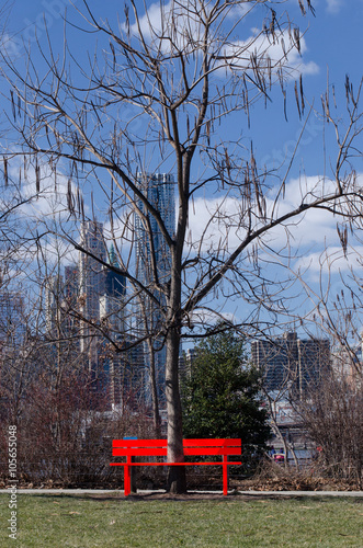 Tree through Bench