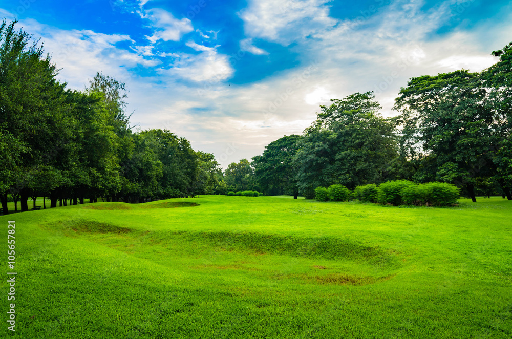 nature background of landscape green field nature background of landscape green field
