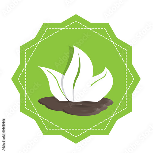 Spa icon