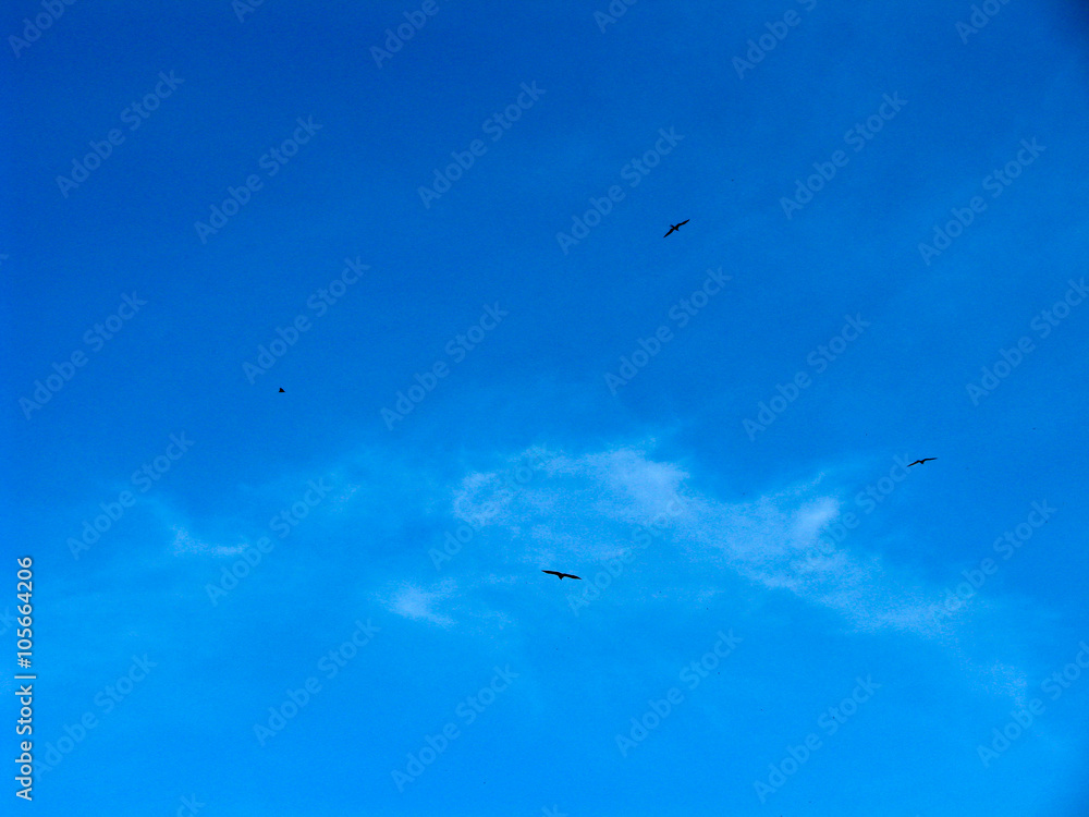 Fototapeta premium Amazing bright blue sky background