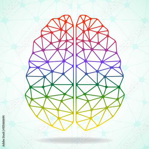 Abstract geometric brain  network connections