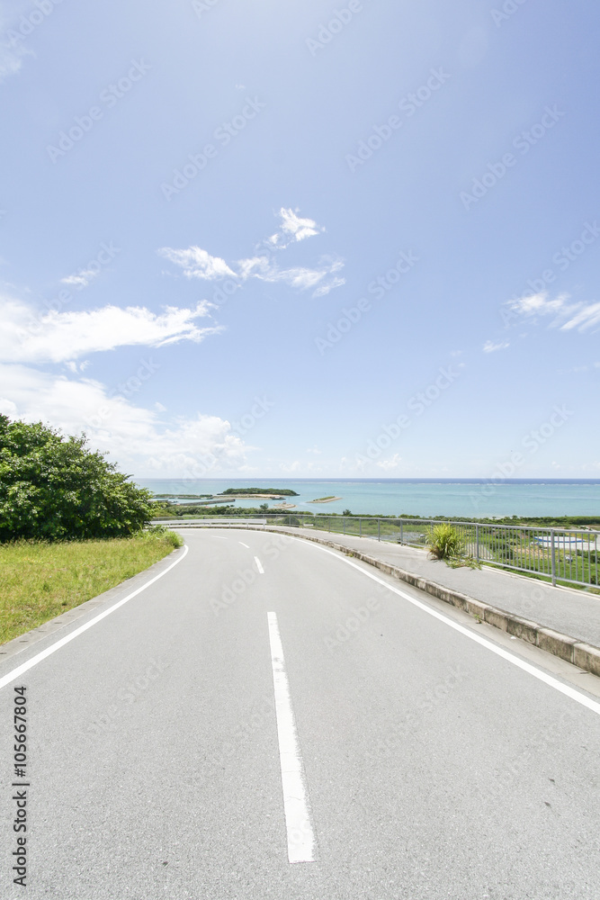A road in Okinawa, Japan