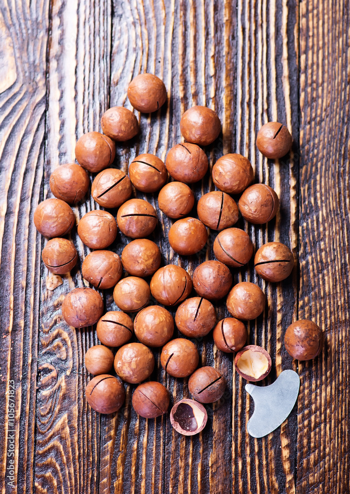 Obraz premium macadamia