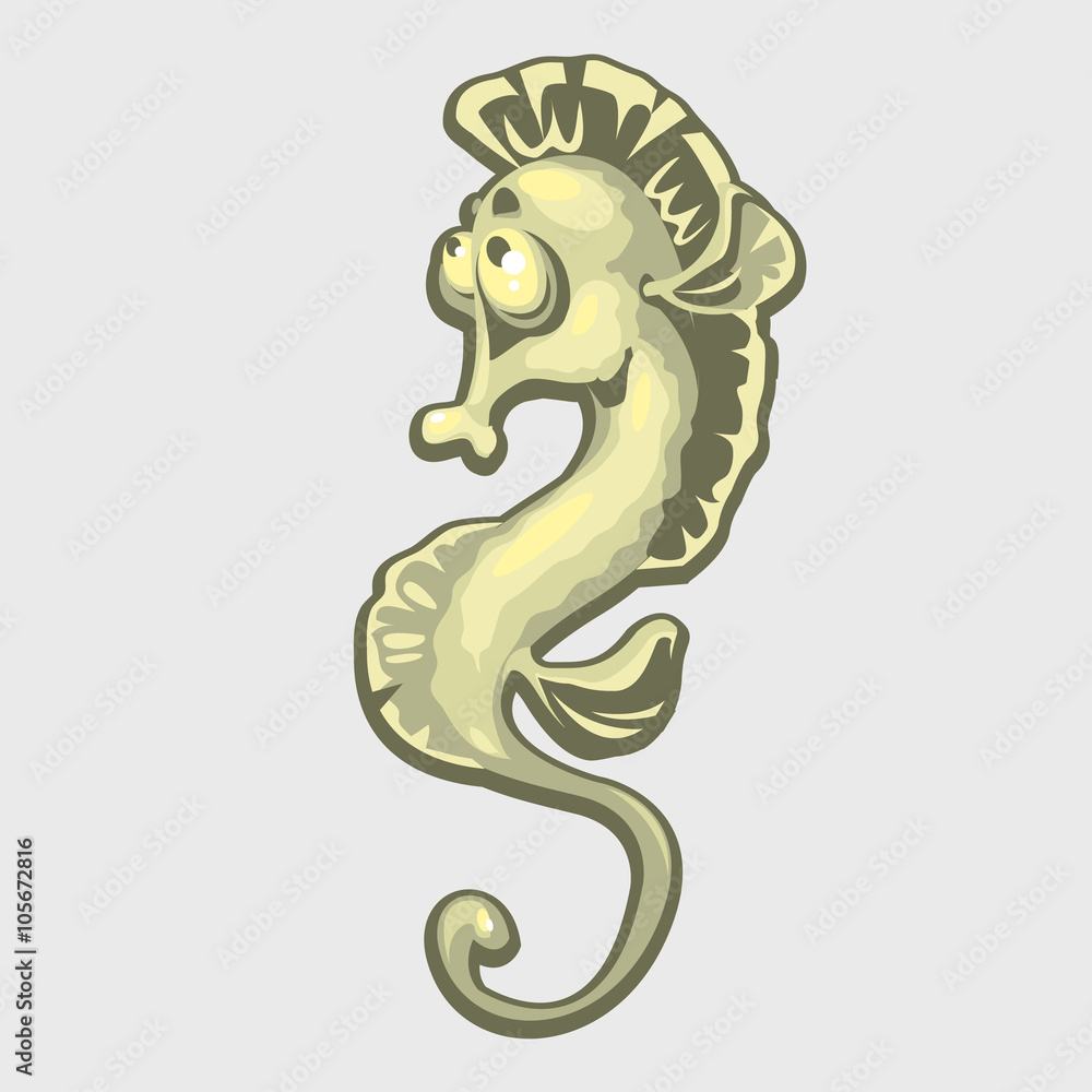 Obraz premium Isolated image of a sea horse
