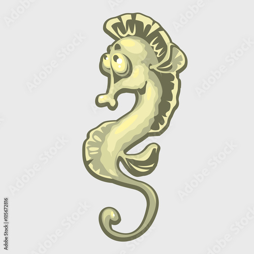 Isolated image of a sea horse