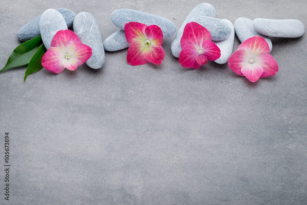 Spa stones and flowers, on grey background. Spa stones and flowers, on grey background.