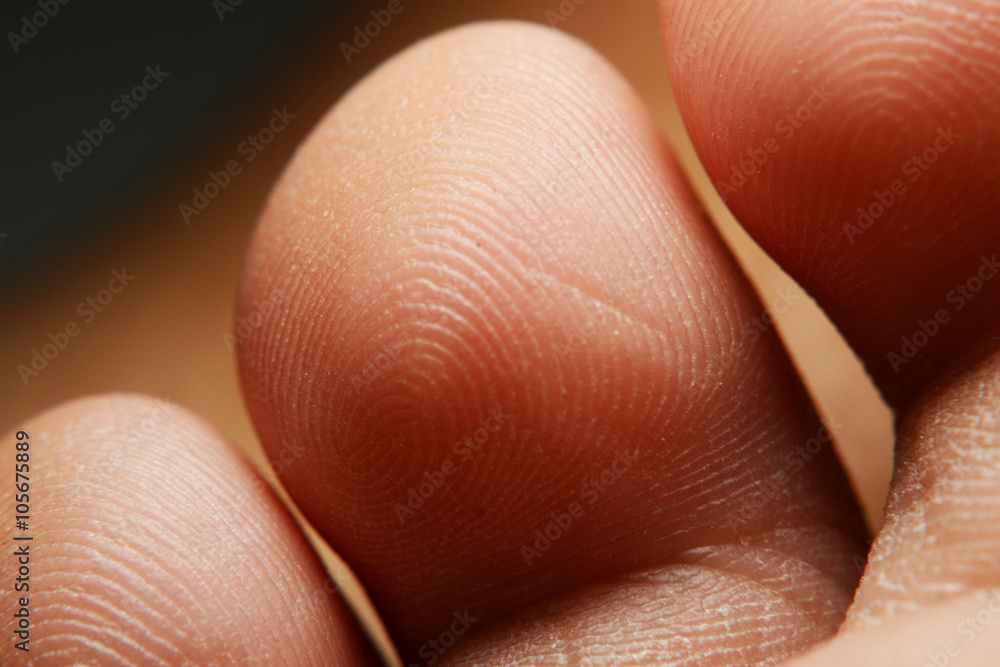 Fototapeta premium human finger and finger print 