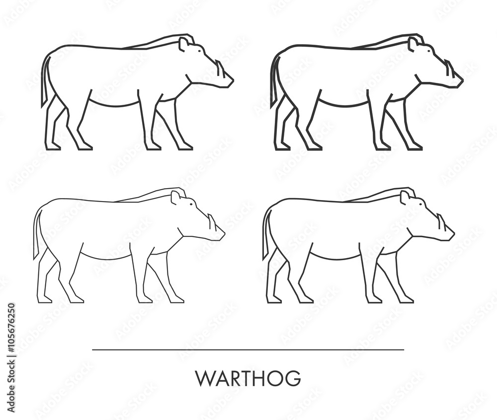 Vector outline warthog on a white background.