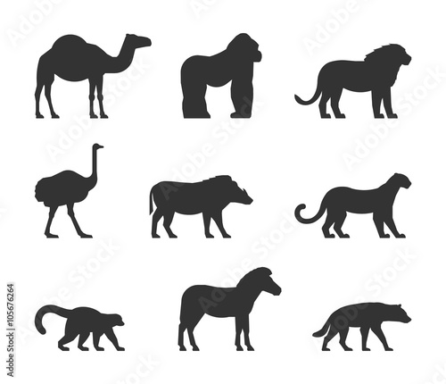 Vector black set of silhouettes african animals. Figure dromedary, gorilla and lion. Icon ostrich, warthog and leopard. Silhouette zebra, lemur and hyena. Figure african animals isolated.