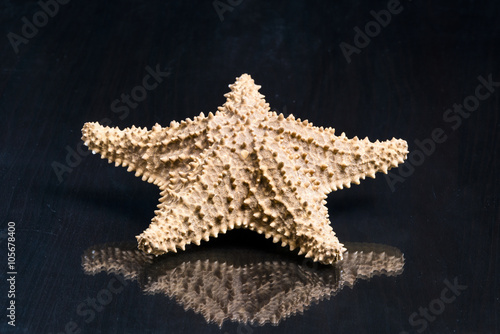 The caribbean starfish on a on a black mirror table closeup