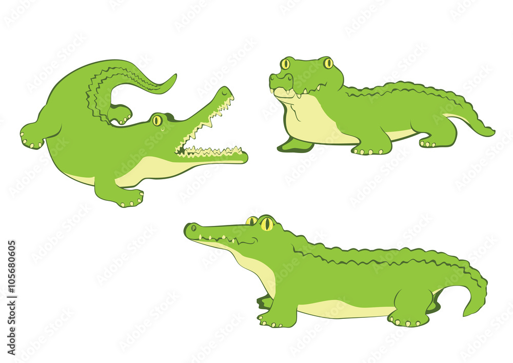 Fototapeta premium three funny vector crocodiles