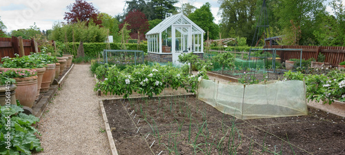 Fotografie, Tablou Greenhouse in English country garden