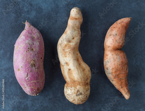 фотографія Three kinds of sweet potatoes on grunge surface. Top view.