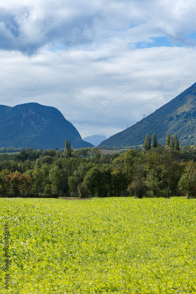 Fototapeta premium summer landscape, the Jura France. Ain region on the border with Geneva.
