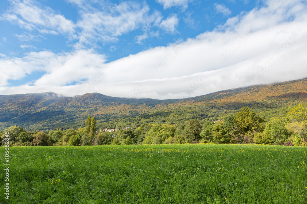 Fototapeta premium summer landscape, the Jura France. Ain region on the border with Geneva.