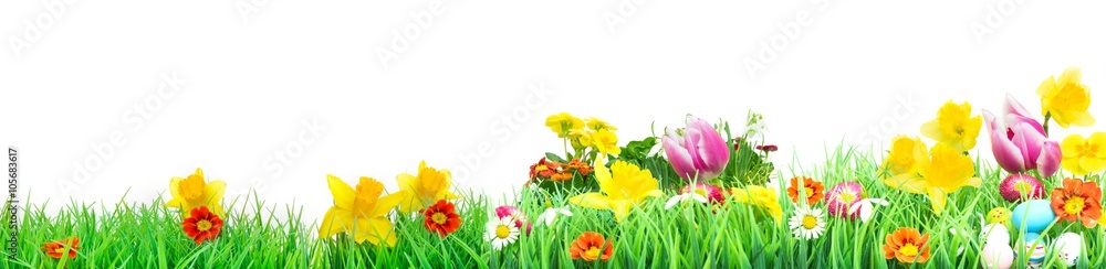 Fototapeta premium Easter, Flower Meadow, isolated, Banner 