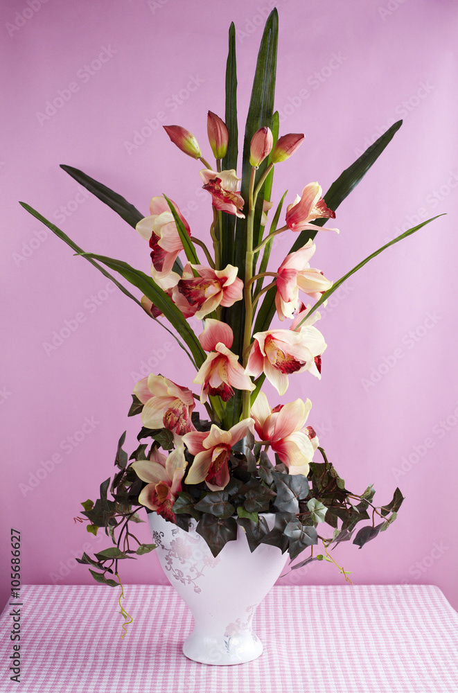 Obraz premium Flower,shot studio