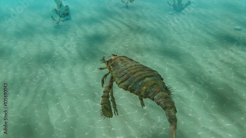 An animation swimming along with Eurypterus in the sea . Eurypterids are related to arachnids and include the largest known arthropods to have ever lived (460 to 248 million years ago). photo