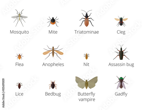 Insect parasites . 
