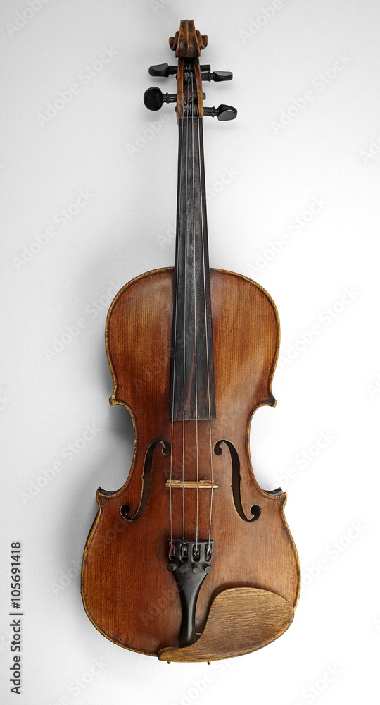 Violin (fiddle) front view isolated on white background with clipping