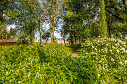 Italian-style gardens in Florence