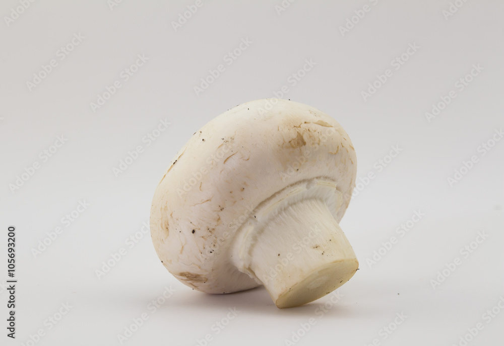 Fototapeta premium One white button mushroom isolated on white
