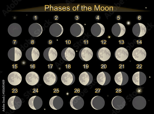 Phases of the Moon