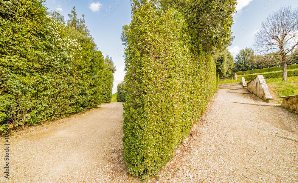 Obraz premium Italian-style gardens in Florence