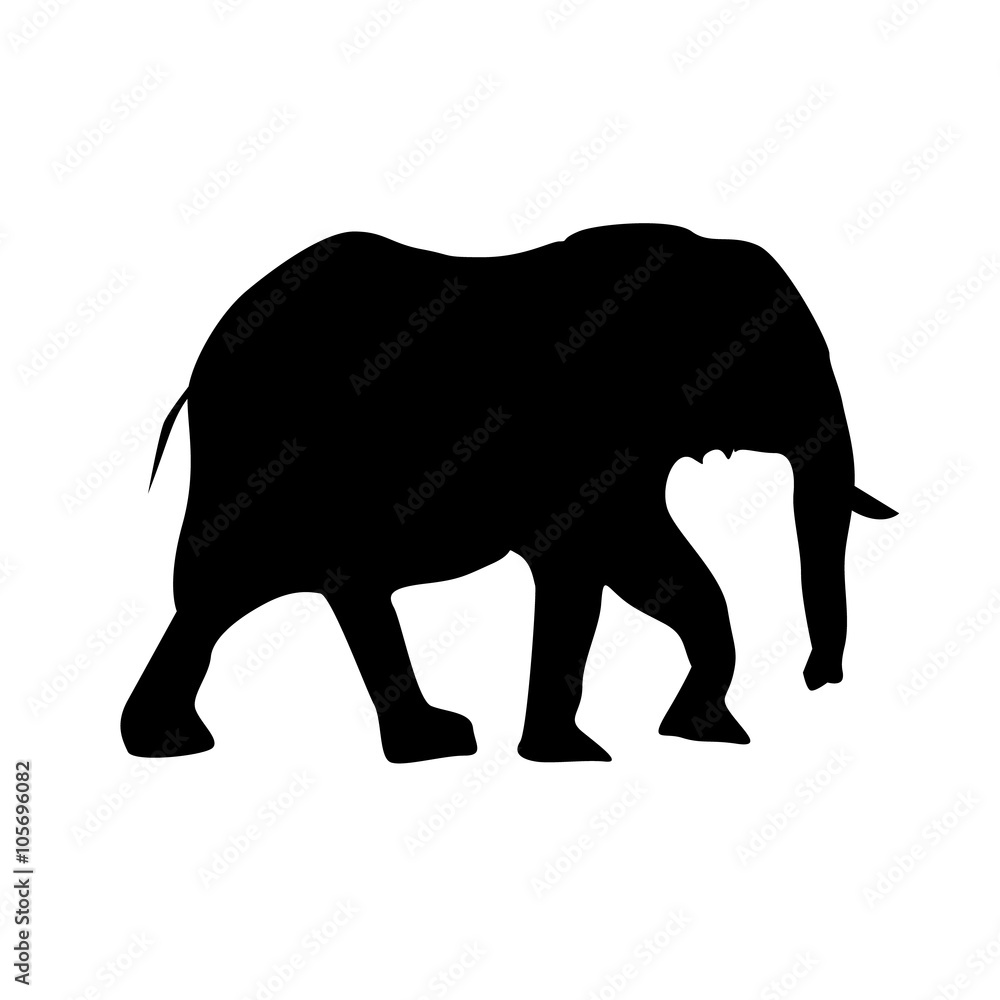 silhouette of female elephant