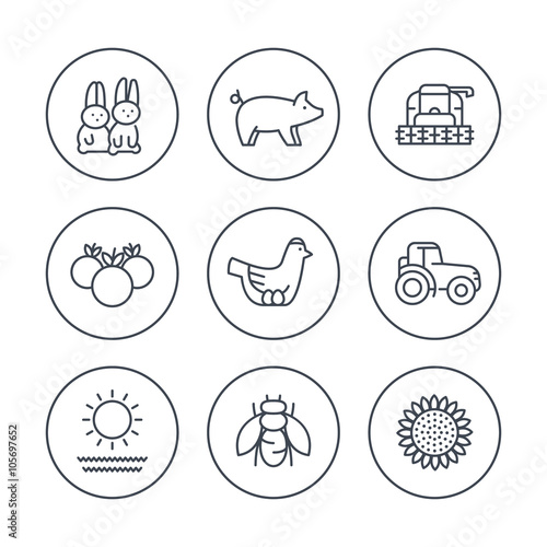 Farm, ranch line icons in circles, tractor, harvester, hen, pig, crop, vegetables icons, vector illustration