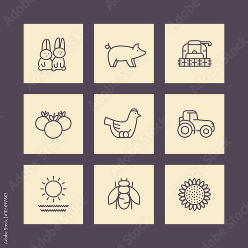 Farm, ranch line icons on squares, harvester, tractor, hen, pig, crop, harvest icons, vector illustration