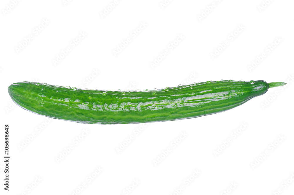 Ripe cucumber with water drops on white background Ripe cucumber with water drops on white background