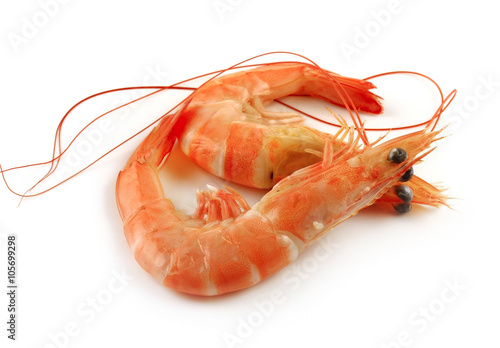 some shrimps on a white background
