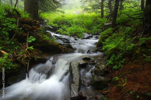 Creek in the woods