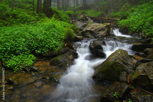 Creek in the woods