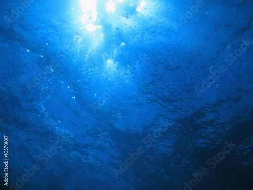 海底から見上げた太陽輝く水面 沖縄慶良間諸島