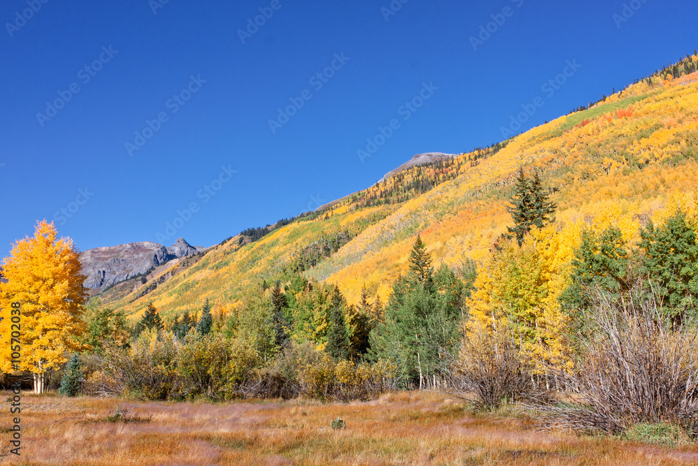 Autumn in the Colorado Mountains