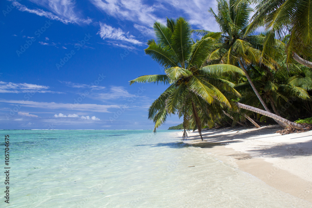 Paradise : white sand, clear water, coconut, Madagascar - obrazy, fototapety, plakaty 