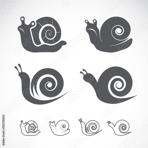 Vector group of a snail on white background