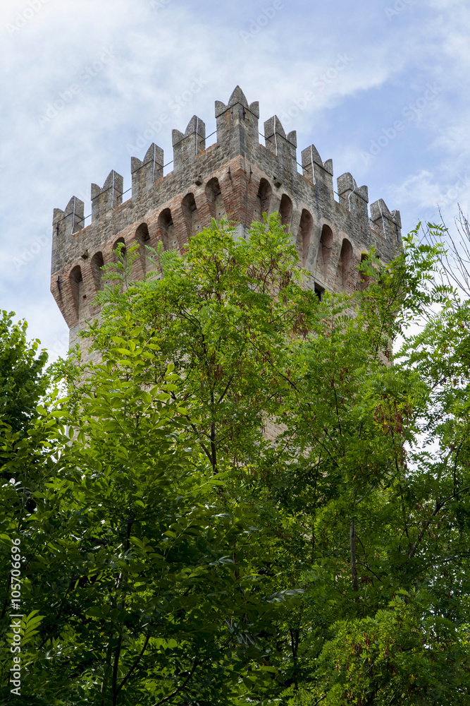 Obraz premium Castle's tower hidden in the woods