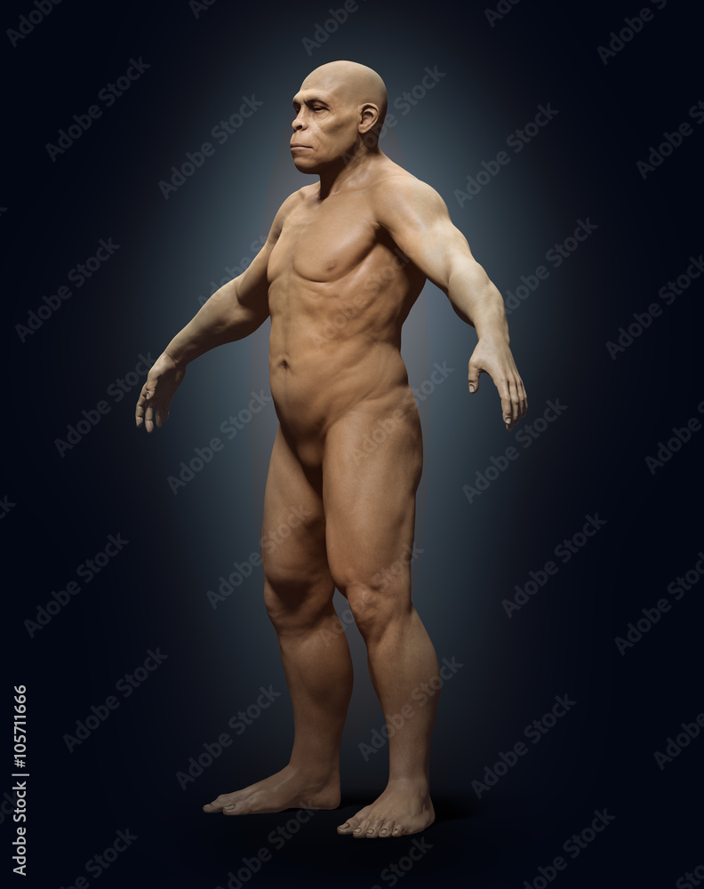 Fototapeta premium Homo erectus