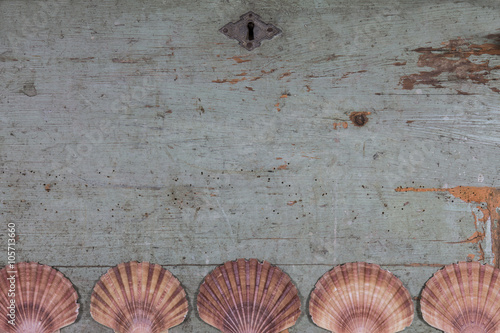 shells on old wooden top / overhead of a set of shells willing on vintage wooden top