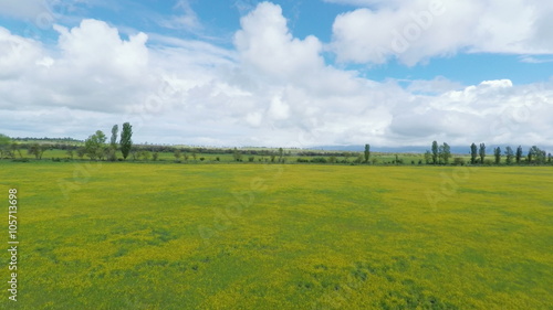Aerial view of yellow field under cloudy sky