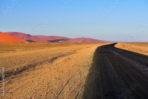 Tar road in Namib desert  Namibia  Africa