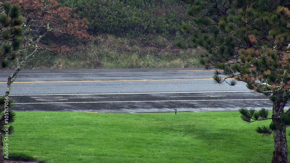 Cars Going In Both Directions Seen Through Rain Past Trees And Grass
Cars Going In Both Directions Seen Through Rain Past Trees And Grass