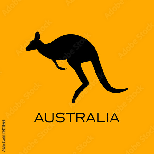 Australian kangaroo vector