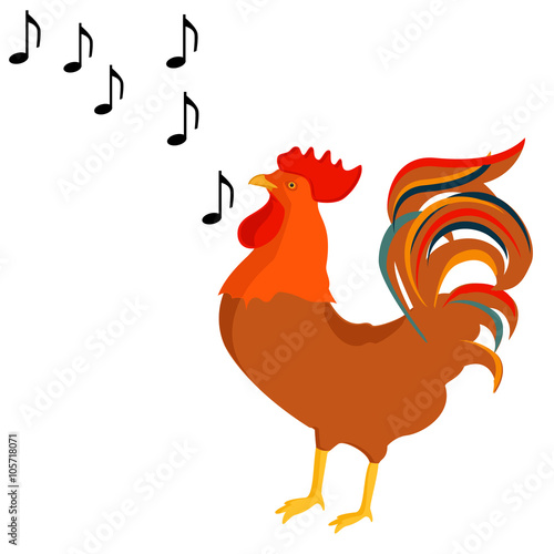 Rooster crows vector